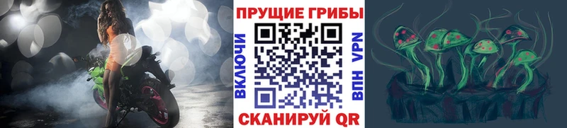 цена   Комсомольск-на-Амуре  Галлюциногенные грибы ЛСД 
