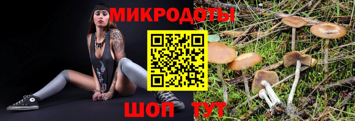 Псилоцибиновые грибы Psilocybe  Вход с VPN  Комсомольск-на-Амуре 